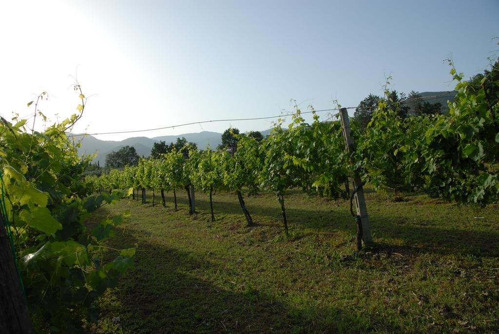Tenuta Torellone San Potito Sannitico المظهر الخارجي الصورة